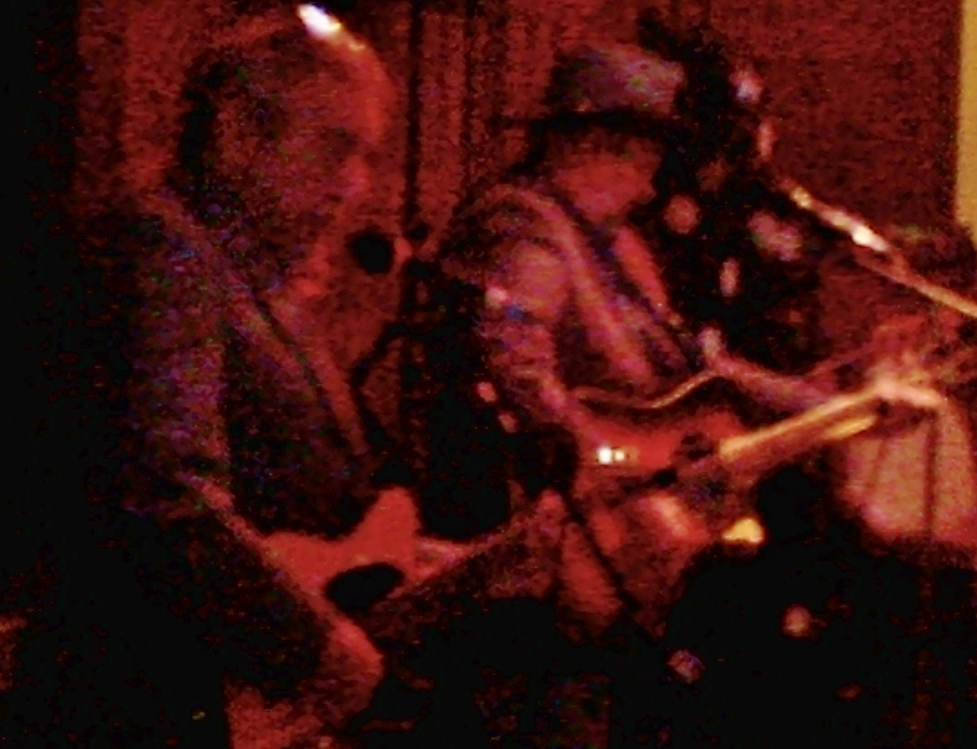 Smokey Water Band: Johnny Cusick on electric guitar, Buddy Powell on acoustic guitar, Vince Harrison on bass guitar