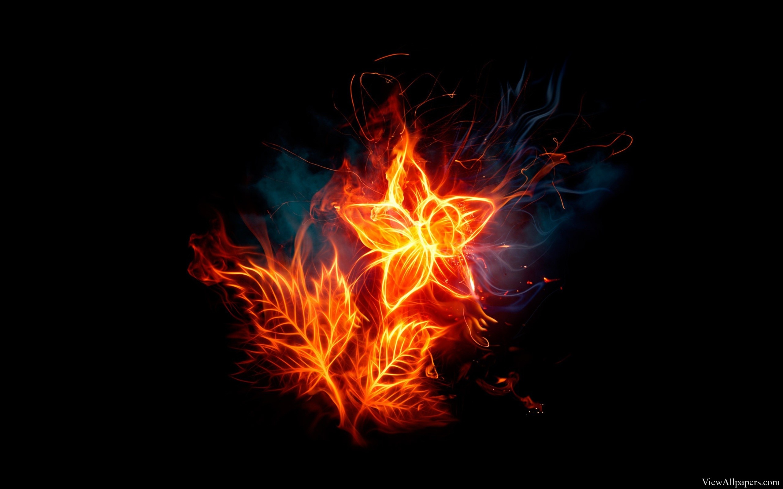 The Fire Flower