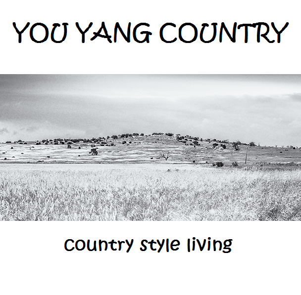 country style living